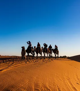 A caravan of camels led by a guide traverses golden sand dunes