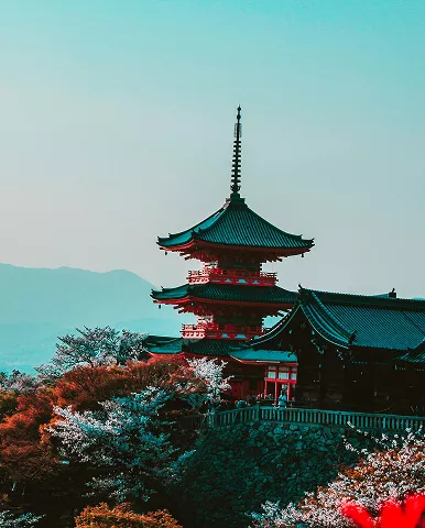 A vibrant red flower blooms in front of a traditional pagoda