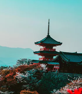 Majestic white building with a golden dome, reflected in a rain-soaked pavement