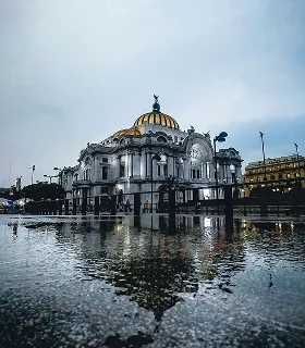 Majestic white building with a golden dome, reflected in a rain-soaked pavement